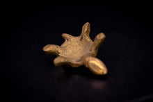 Load image into Gallery viewer, Mini Brass Turtle Statues-2 piece set