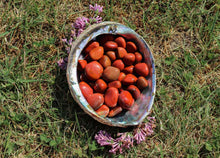 Charger l'image dans la galerie, Red Jasper Tumbled Stone