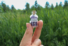 Load image into Gallery viewer, Crystal Bottle