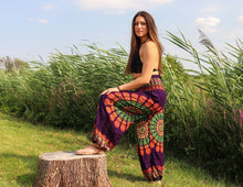 Charger l'image dans la galerie, Aladdin Pants