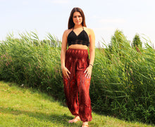 Charger l'image dans la galerie, Aladdin Pants