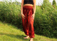 Charger l'image dans la galerie, Aladdin Pants