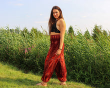 Charger l'image dans la galerie, Aladdin Pants