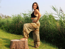 Charger l'image dans la galerie, Aladdin Pants