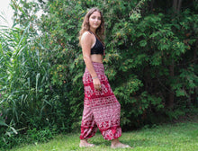 Charger l'image dans la galerie, Aladdin Pants