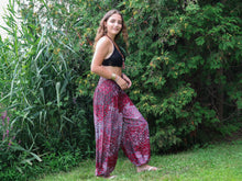 Charger l'image dans la galerie, Aladdin Pants