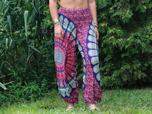 Charger l'image dans la galerie, Aladdin Pants