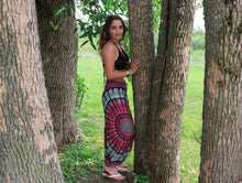 Charger l'image dans la galerie, Aladdin Pants