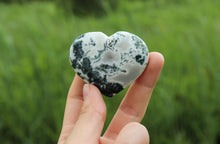 Charger l'image dans la galerie, Tree Agate Heart Crystal