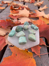 Charger l'image dans la galerie, Rubi Zoisite (Anyolite) Tumbled Stone