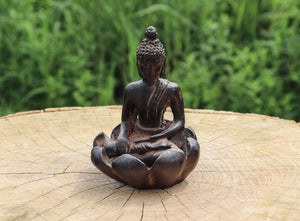 Buddha Incense Holder