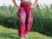 Load image into Gallery viewer, Aladdin Pants
